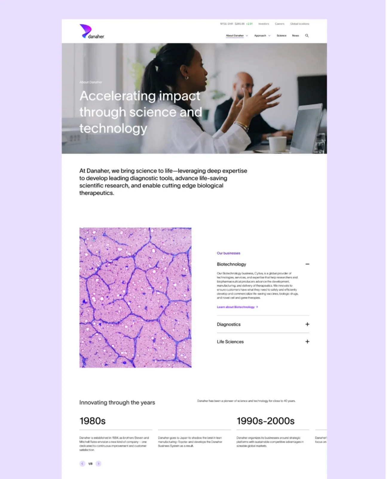 Danaher website design.